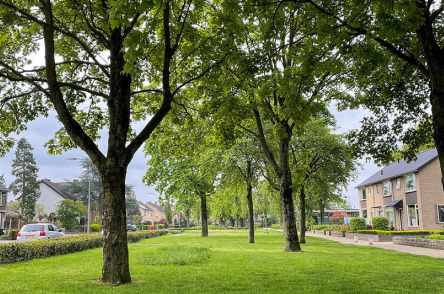 Groen veld met bomen in Putten, Bilderdijkstraat