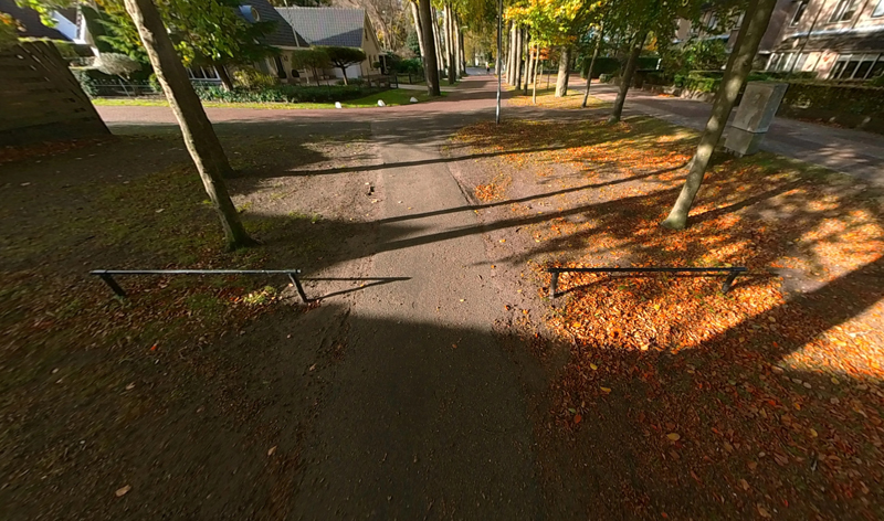 81 Hoofdlaan