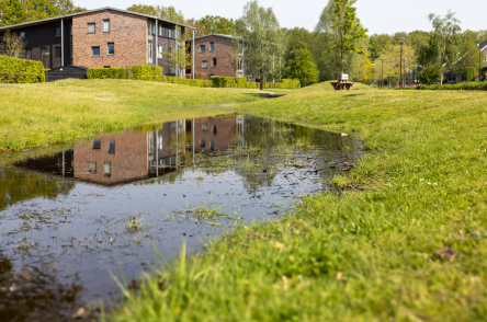 Groen veld met waterplas of wadi in Putten